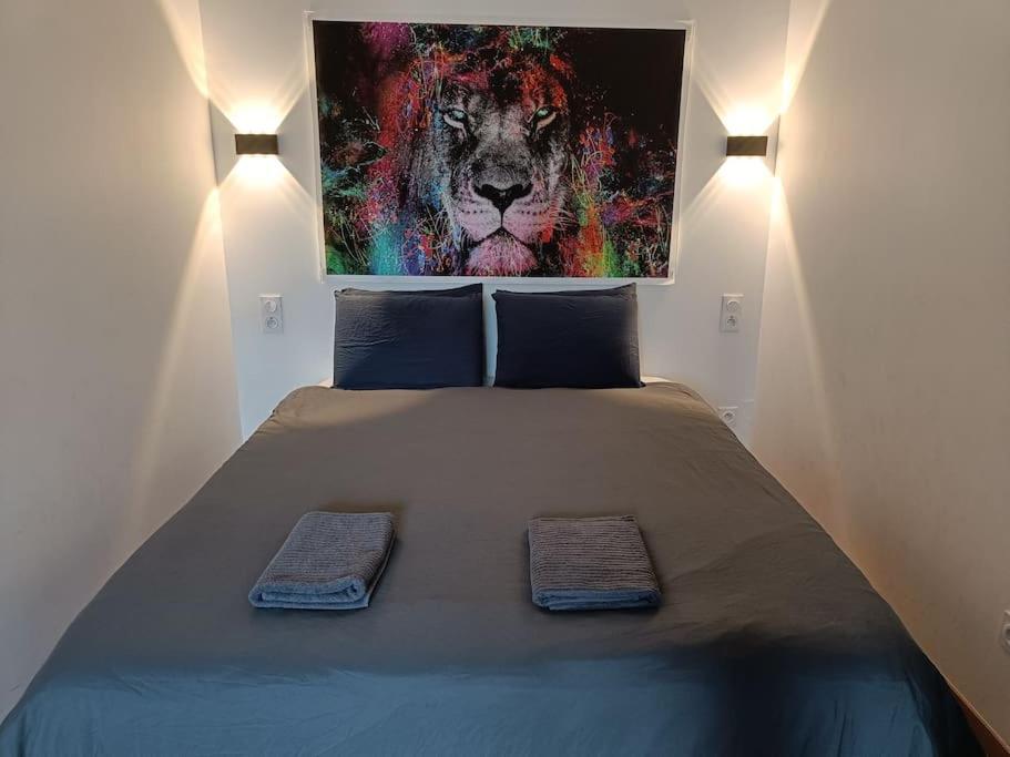 Appartement Confort Equipe Au Coeur De Beziers Luaran gambar