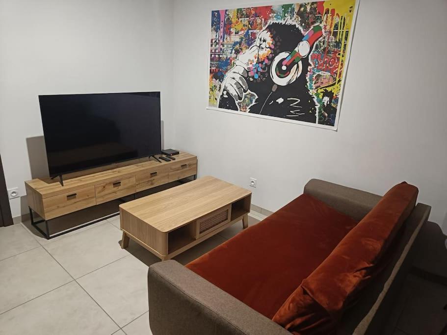 Appartement Confort Equipe Au Coeur De Beziers Luaran gambar